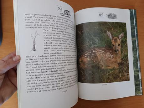 Zvieratá v lese (1990),