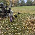 zo zivota v zariadeni nerozlucna d