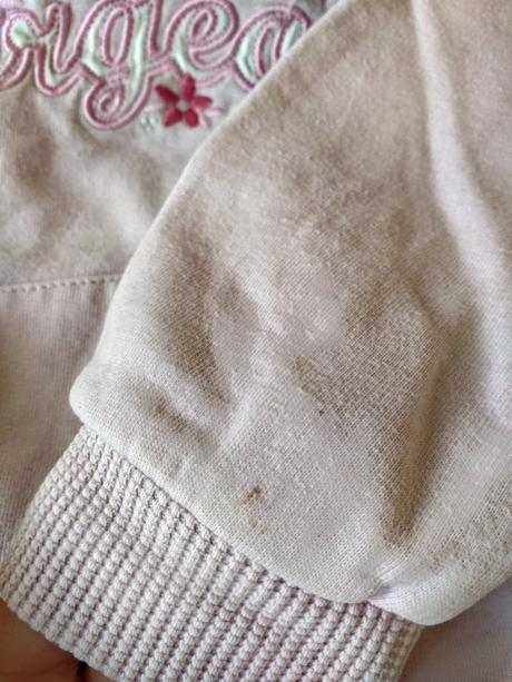 Mikinka, st. bernard,104