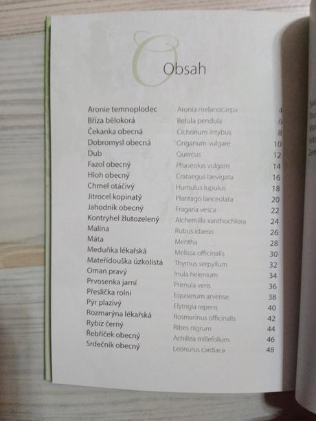 Dedinská záhradka, 