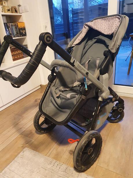 Concord wanderer, concord,concord wanderer