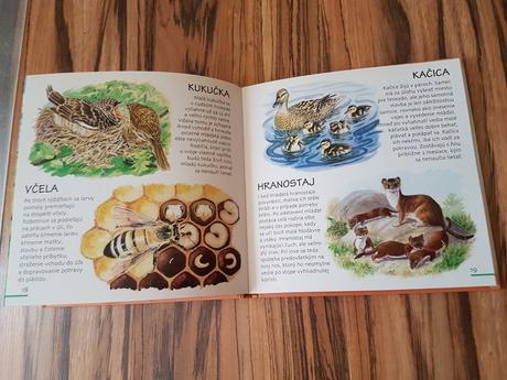 Kniha zvieratka v 4 rocnych obdobiach, 