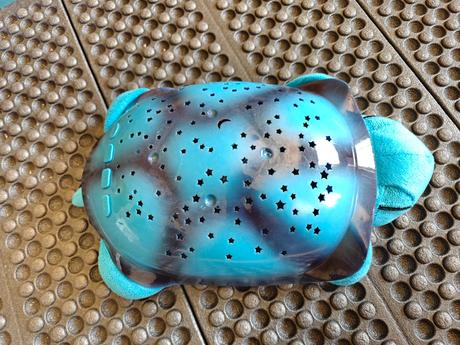 Svietiaca korytnačka, 