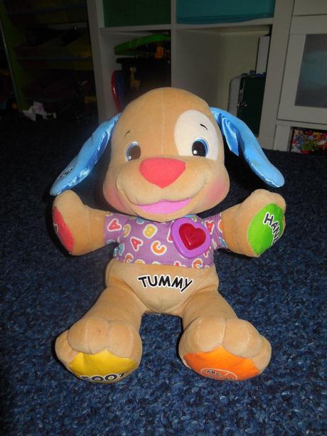 Anglicky spievajúci psík, 