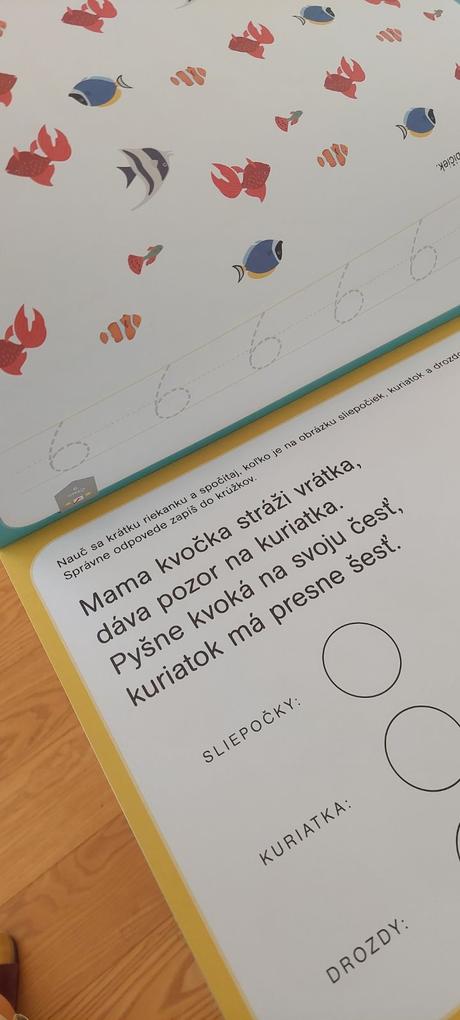 Predškolské aktivity, 