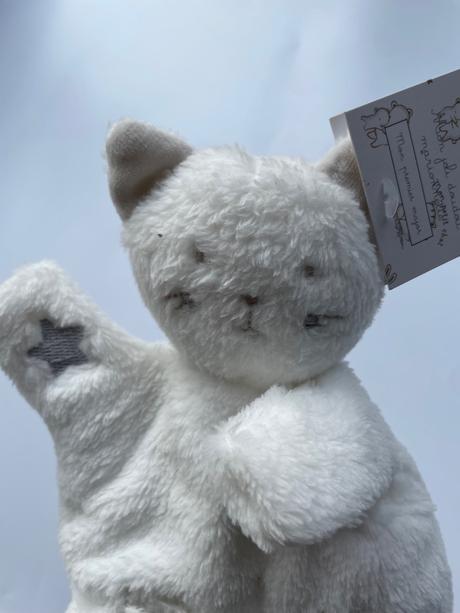 Roztomilá maňuška mačičky, 