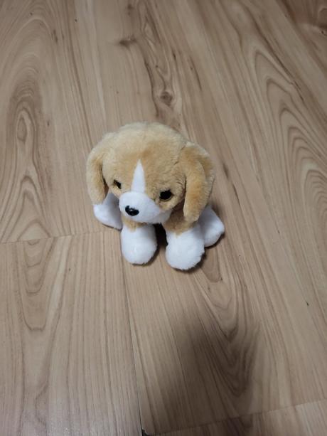 Plyšový psík, 