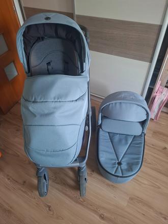 Kočik, roan,roan bass next
