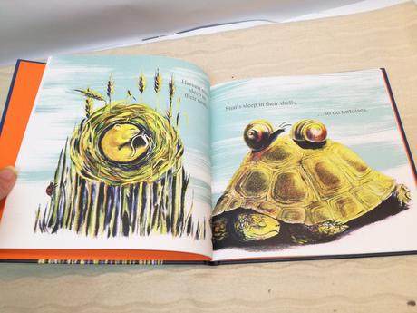 Kate prendergast sleep hb nsu21, 