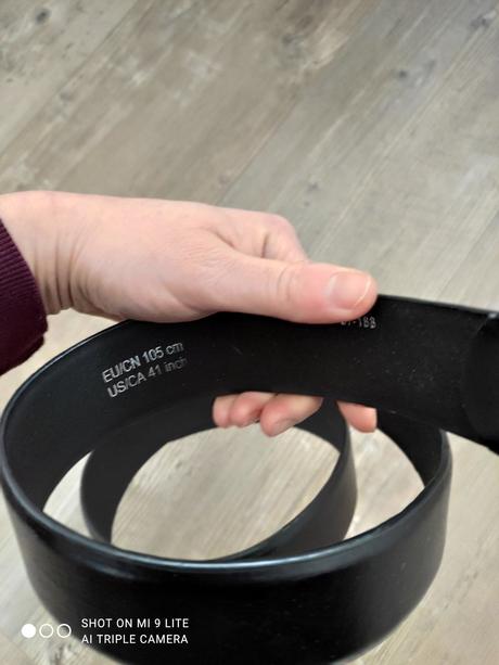 Opasok cierno-zlaty, 