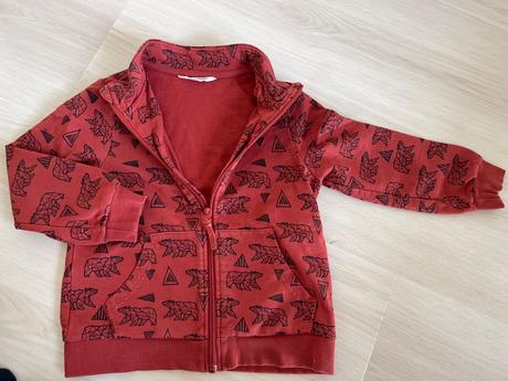 Mikina coccodrillo, coccodrillo,110