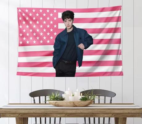 Vlajka, nástenná dekorácia noah schnapp - stranger,