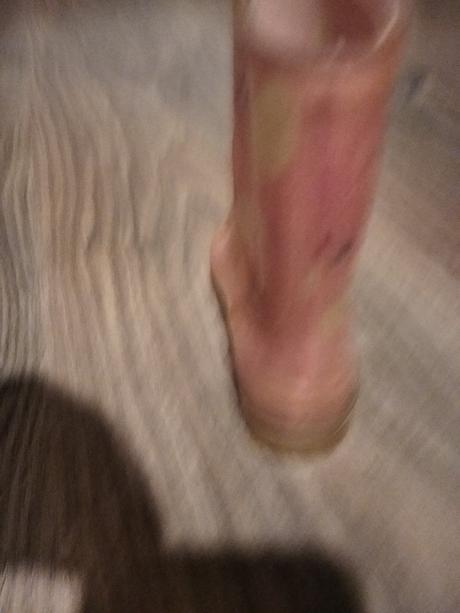 Gumaky zajacikove, 21