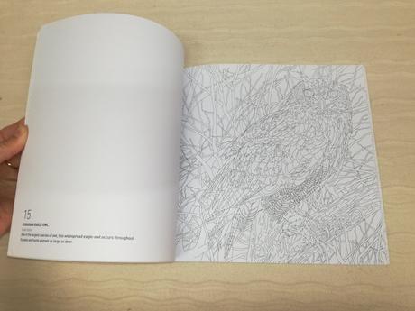 Dk animals of the world colouring book nau19, 