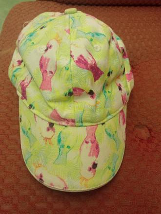 Šiltovka papagáj, 98