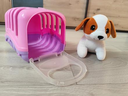 Psik s prepravnym boxom, 