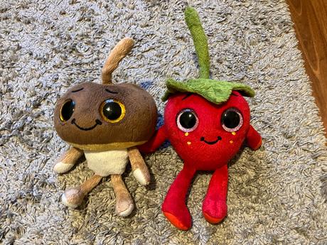 Plysaky 2-hladame novy domov- cena podla velkosti,