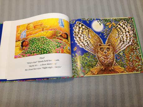 Handa's noisy night hb nsp22,