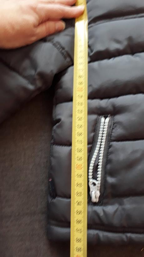 Bunda sivohneda, terranova,98