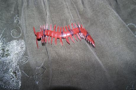 Kostým čarodejnica na karneval, 