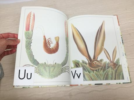 Norman messenger an artist's alphabet hb nau20, 