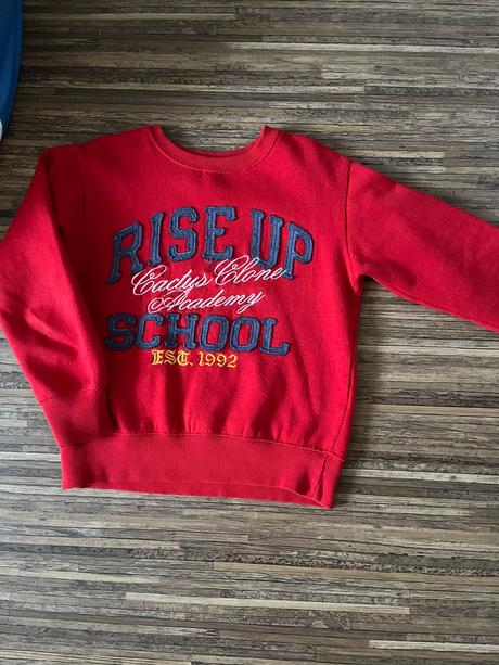 Štýlový pulóver cactus colné minimálne nosený, cactus clone,122