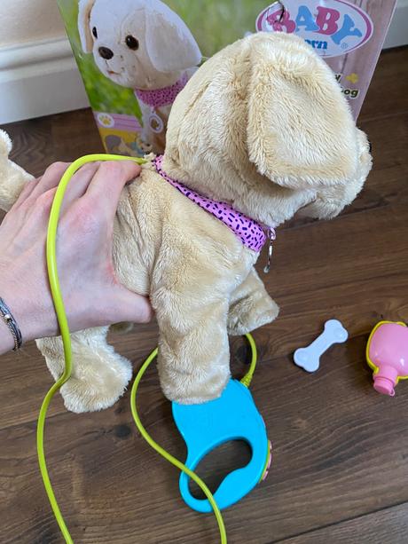 Baby born chodiaci psík,