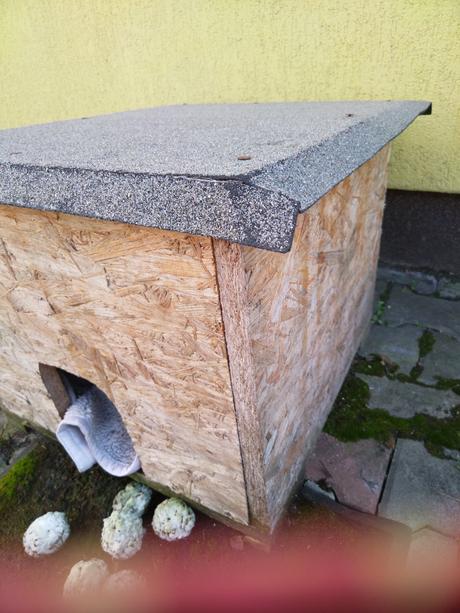 Búdka pre psa, macku, 