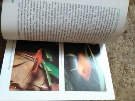 Chováme akvariové rybky, 