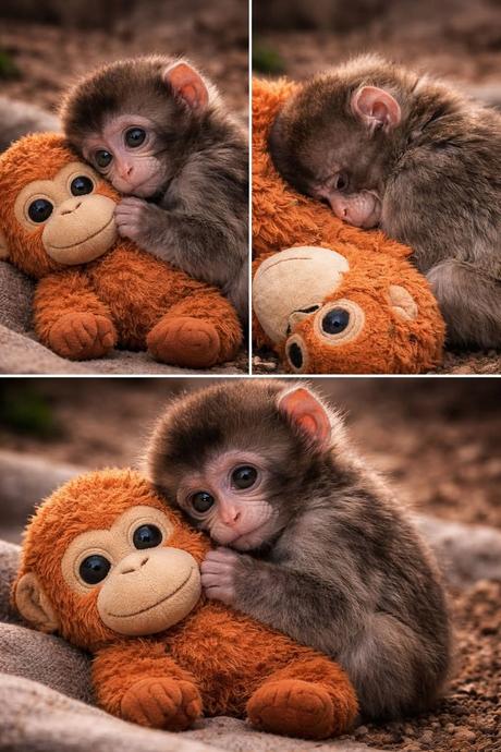 Punch originál opička, 