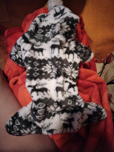 Oblecenie pre psíka, macku, 