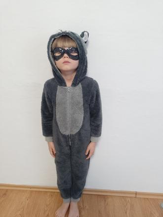 Karnevalový kostým, 