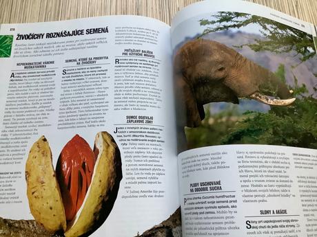 1000 divov prírody, 