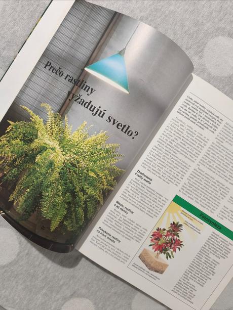 Rastliny v byte a na balkóne, 