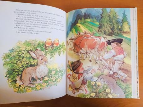 O veternom kráľovi (1993), 