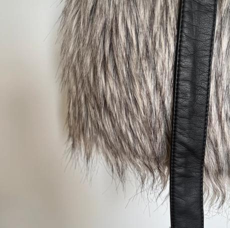 Huňatá vesta, house,s