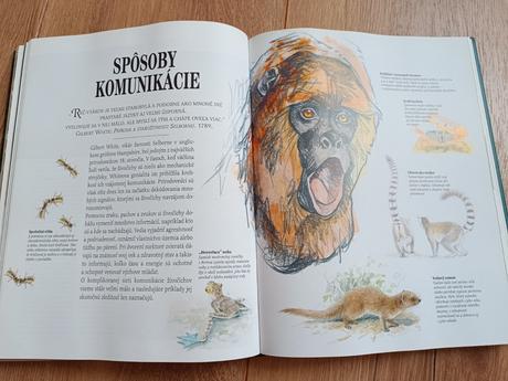 Sukromie zivocichov, 