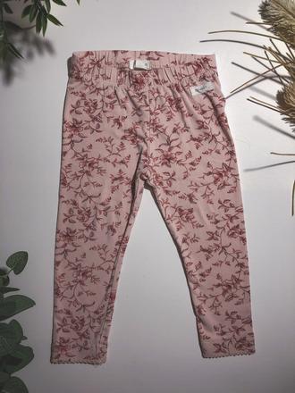 Legíny newbie 86, newbie,86