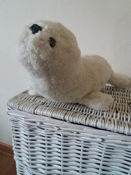 Biely tuleň väčší, 