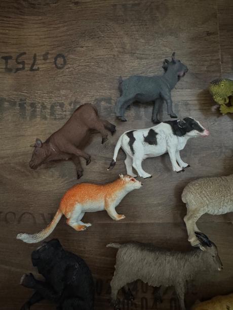 11ks rôzne zvieratká, 