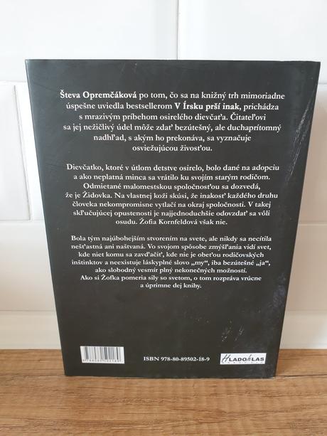 Števa opremčáková - planisko,