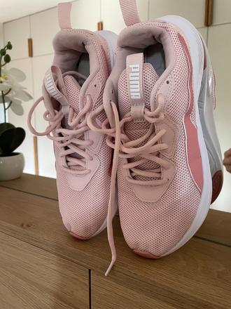 Halovky, puma,40