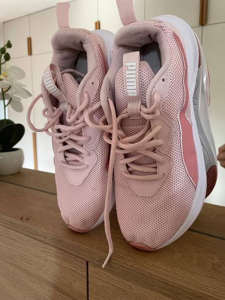 Halovky, puma,40