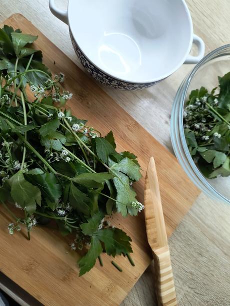 Žindavová masť - ekzém,