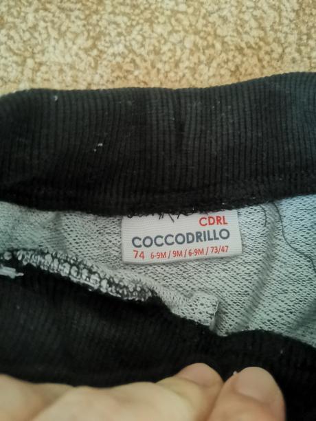 Tepláky a nohavice, coccodrillo,74