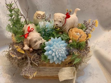 Detska mydlova kytica, 