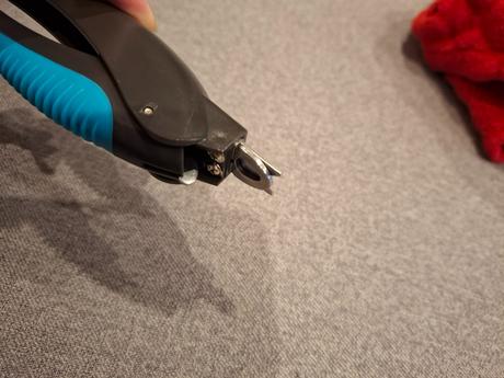 Kliešte na pazúry,