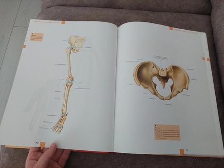 Atlas anatómie - nemecké vydanie, 