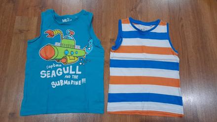 Tielka, palomino,110