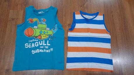 Tielka, palomino,110